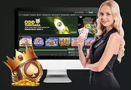 Thành viên VIP shbet88 nhận đặc quyền và ưu đãi cao cấp trên điện thoại
